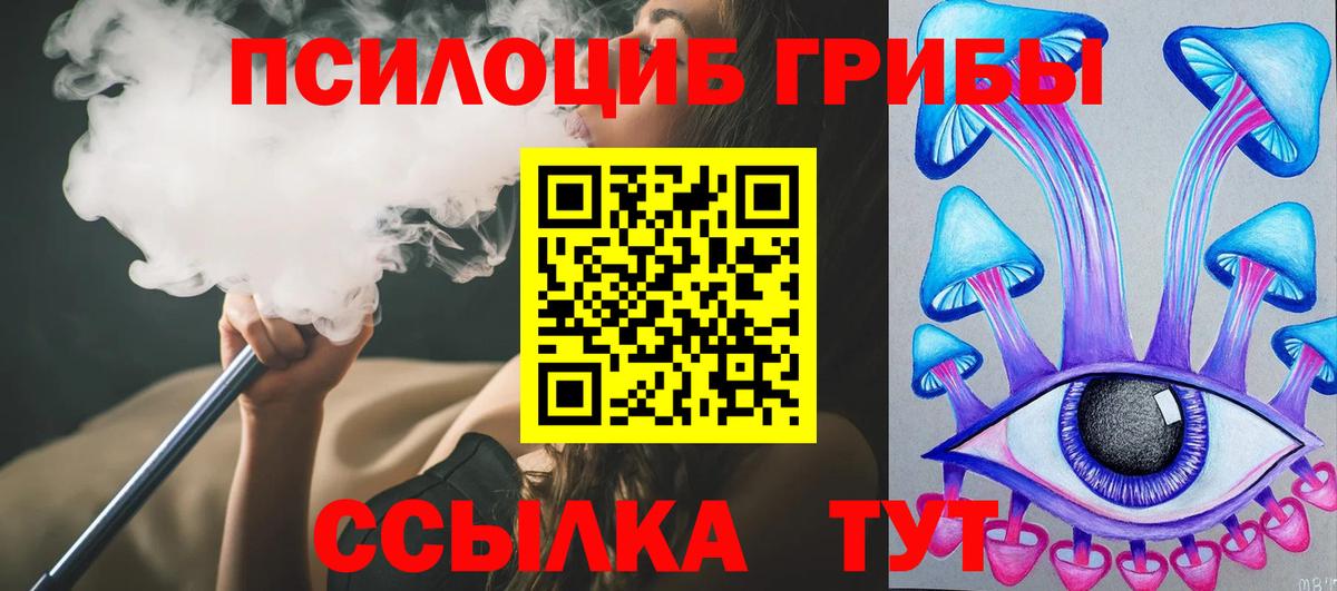 Галлюциногенные грибы мицелий  Псилоцибиновые грибы MAGIC MUSHROOMS  Протвино  Вход с VPN 