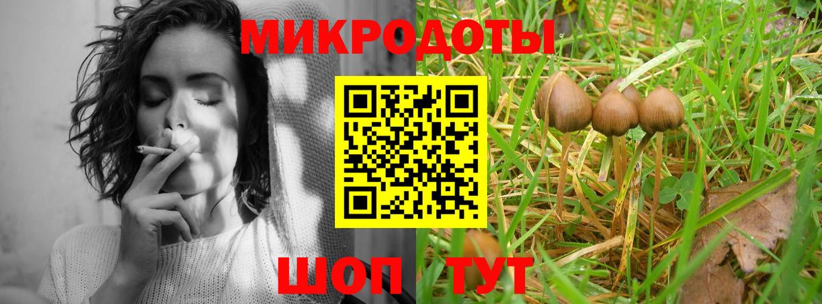 Псилоцибиновые грибы прущие грибы Протвино