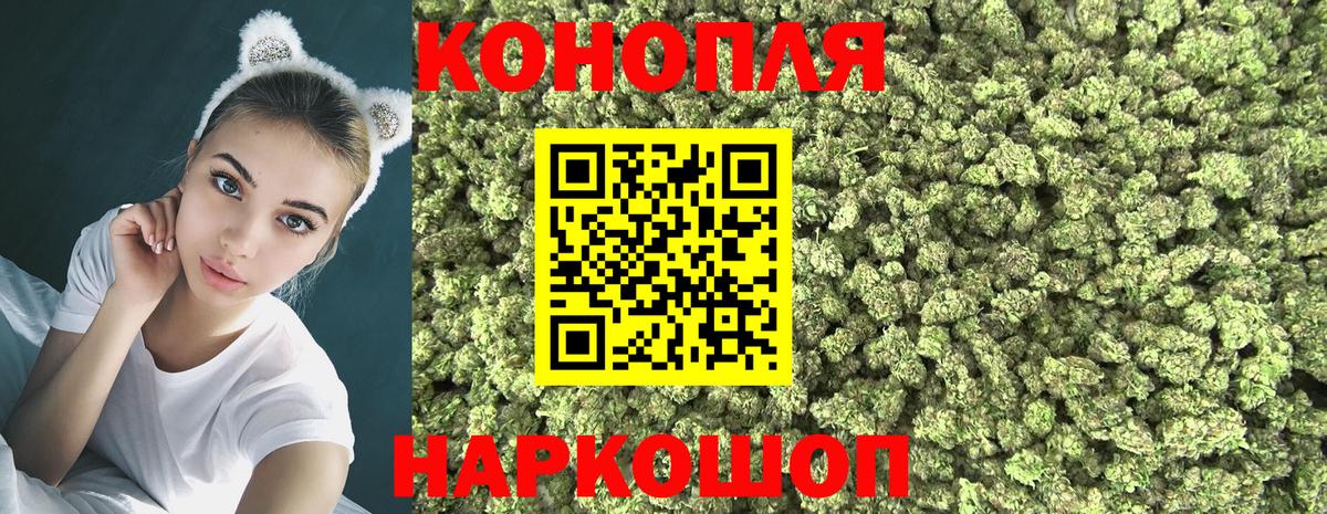 Марихуана сатива Протвино